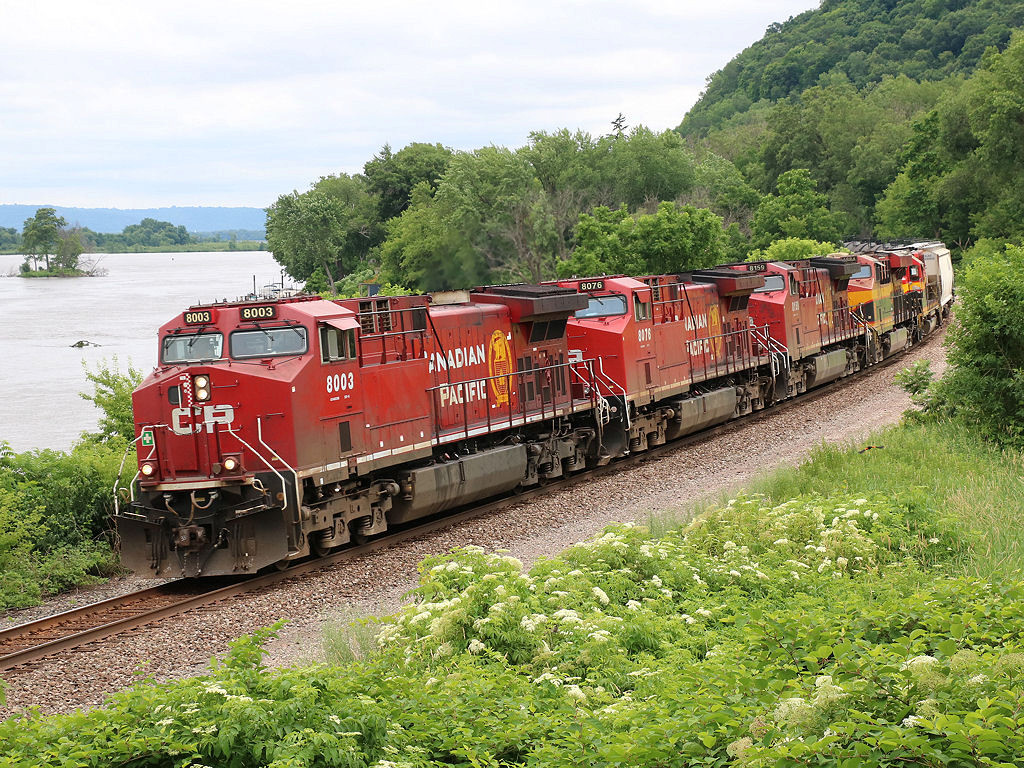 CP 8003